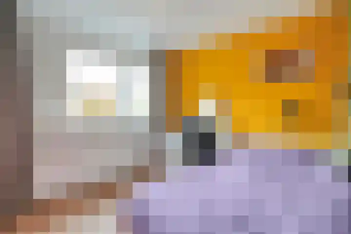 Kloosterhof 18 Dalfsen thumbnail 28