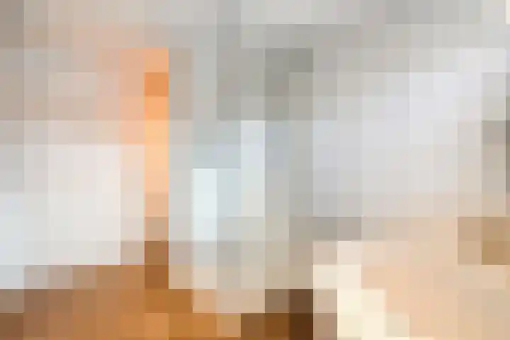 Kloosterhof 18 Dalfsen thumbnail 32