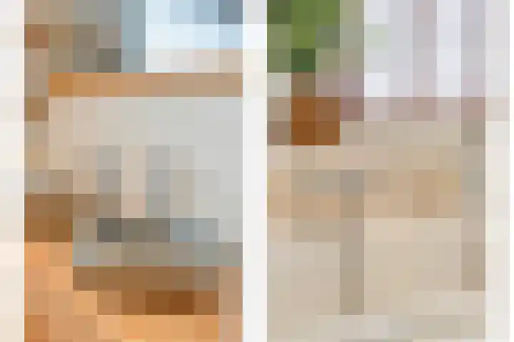 Kloosterhof 18 Dalfsen thumbnail 34