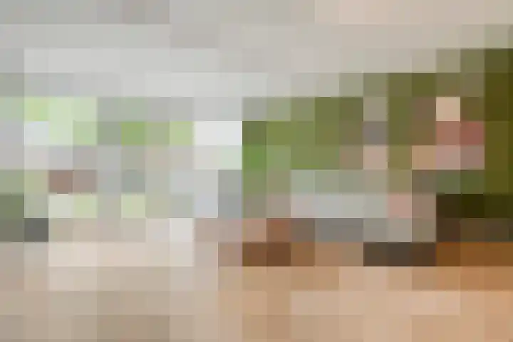 Kloosterhof 18 Dalfsen thumbnail 4