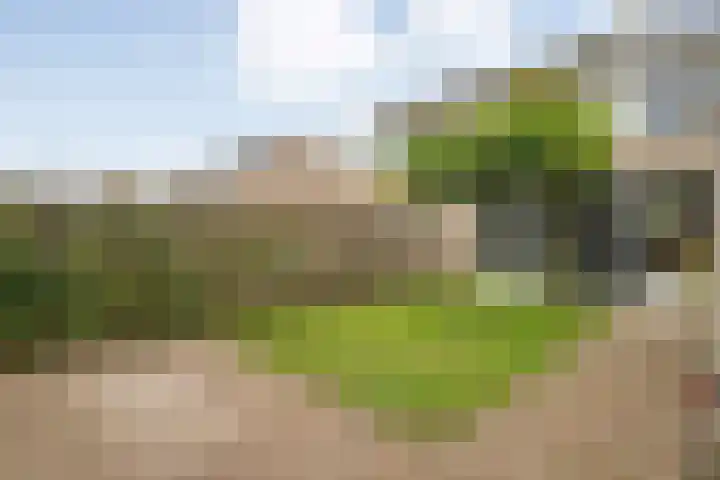 Kloosterhof 18 Dalfsen thumbnail 42