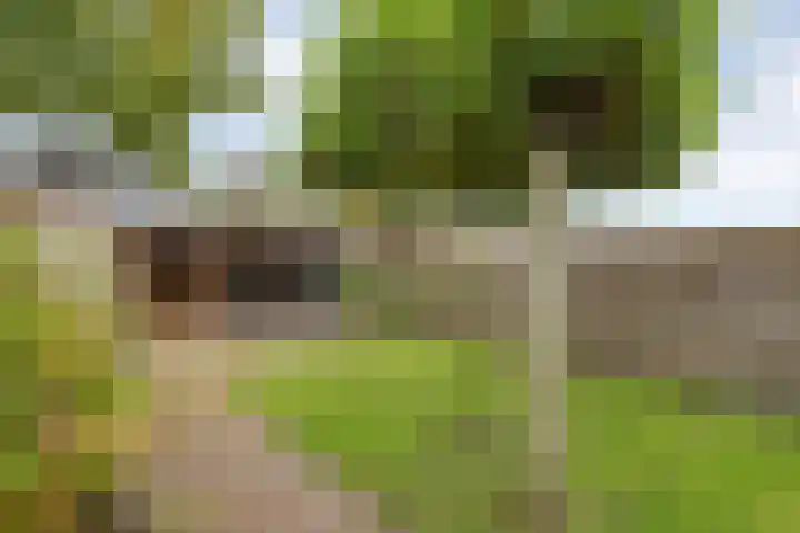 Kloosterhof 18 Dalfsen thumbnail 43