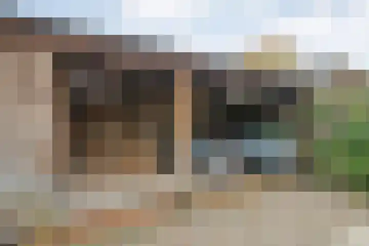 Kloosterhof 18 Dalfsen thumbnail 44