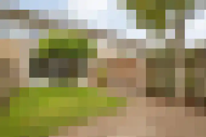 Kloosterhof 18 Dalfsen thumbnail 45