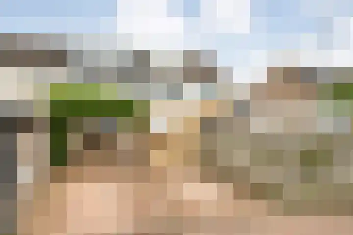 Kloosterhof 18 Dalfsen thumbnail 46