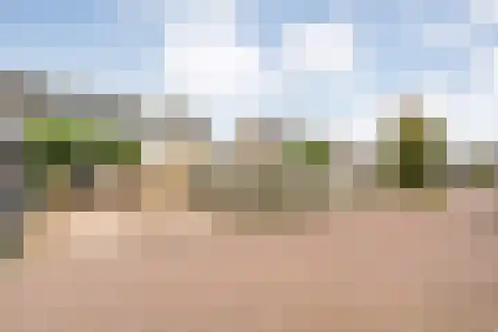 Kloosterhof 18 Dalfsen thumbnail 47