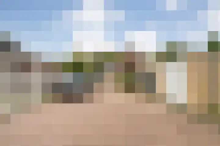 Kloosterhof 18 Dalfsen thumbnail 48
