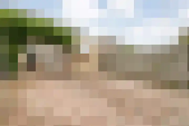 Kloosterhof 18 Dalfsen thumbnail 49
