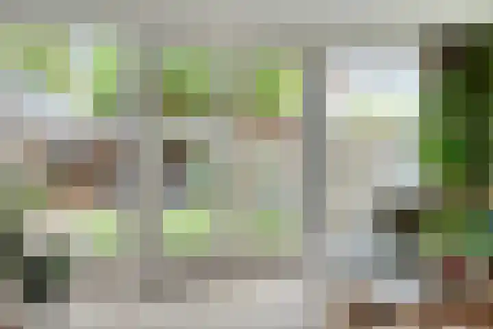 Kloosterhof 18 Dalfsen thumbnail 5