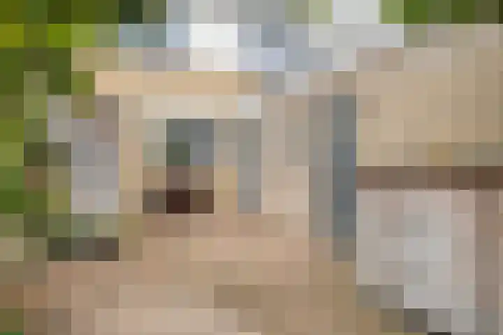Kloosterhof 18 Dalfsen thumbnail 50