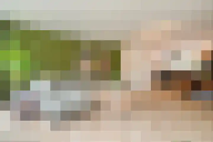Kloosterhof 18 Dalfsen thumbnail 6
