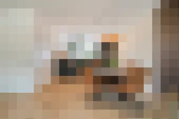 Kloosterhof 18 Dalfsen thumbnail 9