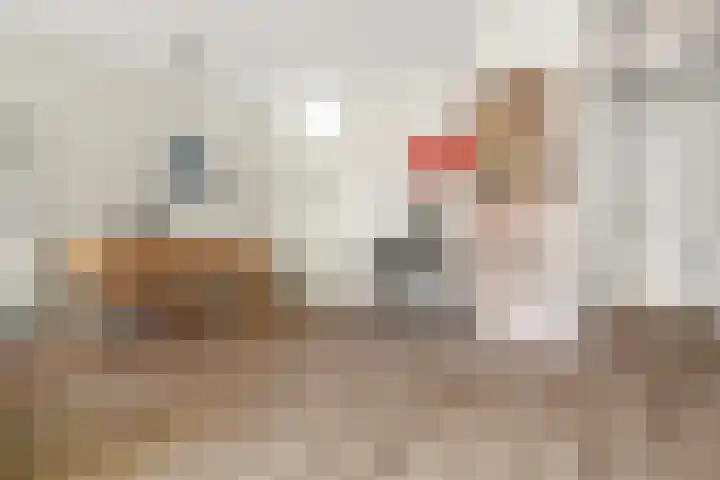 Kloosterhof 18 Delden thumbnail 20