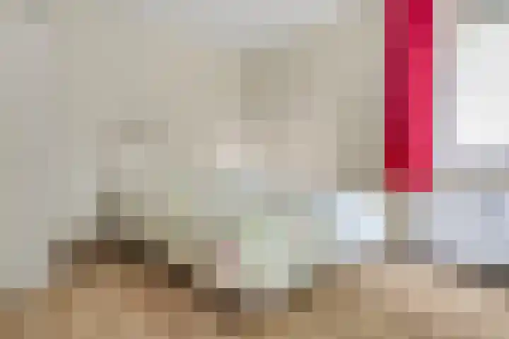 Kloosterhof 18 Delden thumbnail 27