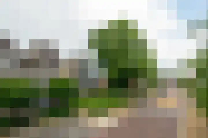 Kloosterhof 18 Delden thumbnail 36