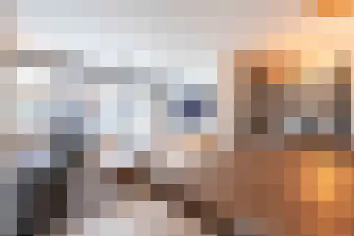 Kloosterhof 2 Bosschenhoofd thumbnail 12