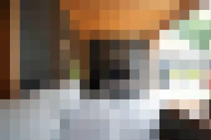 Kloosterhof 2 Bosschenhoofd thumbnail 26