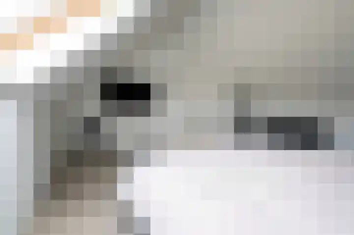 Kloosterhof 2 Bosschenhoofd thumbnail 42