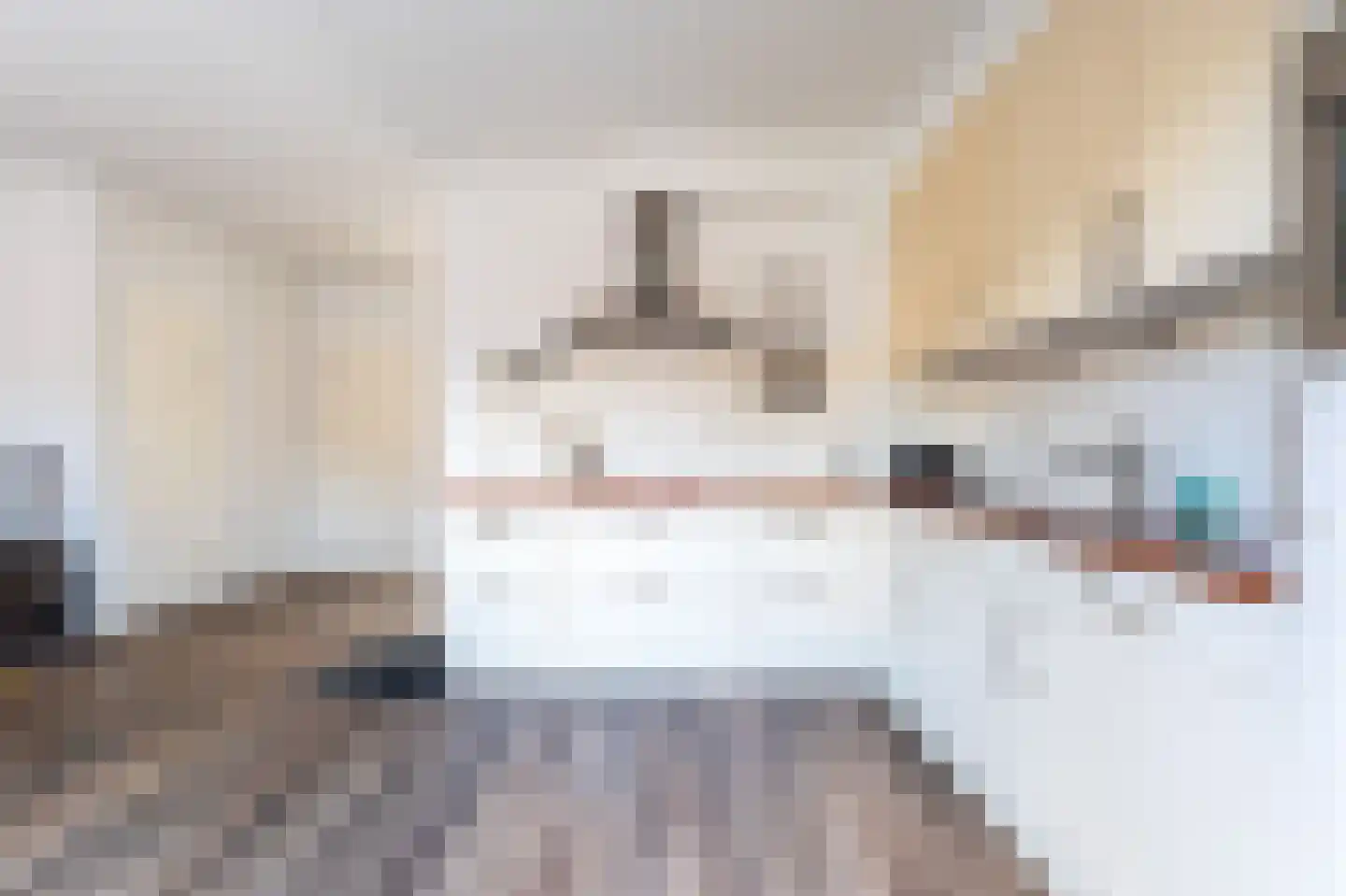 Kloosterhof 2 Dalfsen thumbnail 12