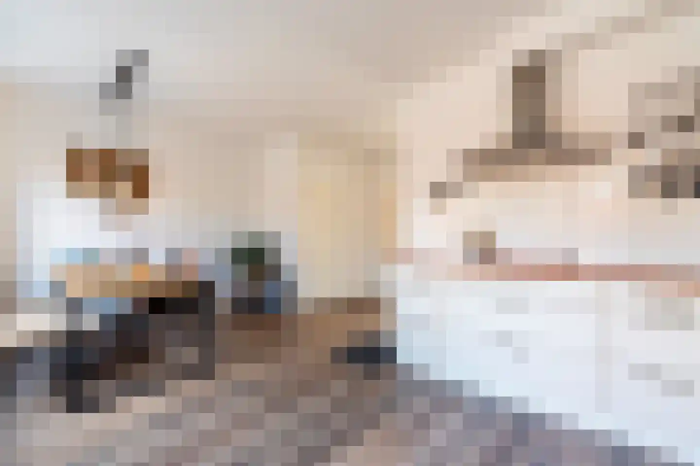 Kloosterhof 2 Dalfsen thumbnail 13