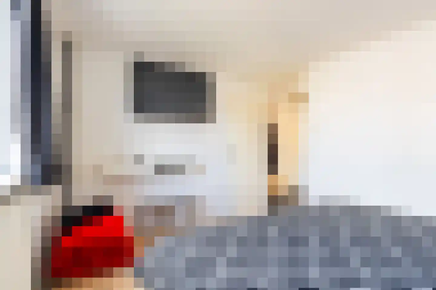 Kloosterhof 2 Dalfsen thumbnail 18