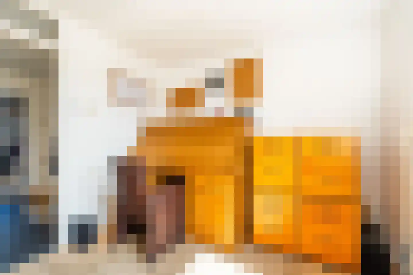Kloosterhof 2 Dalfsen thumbnail 24