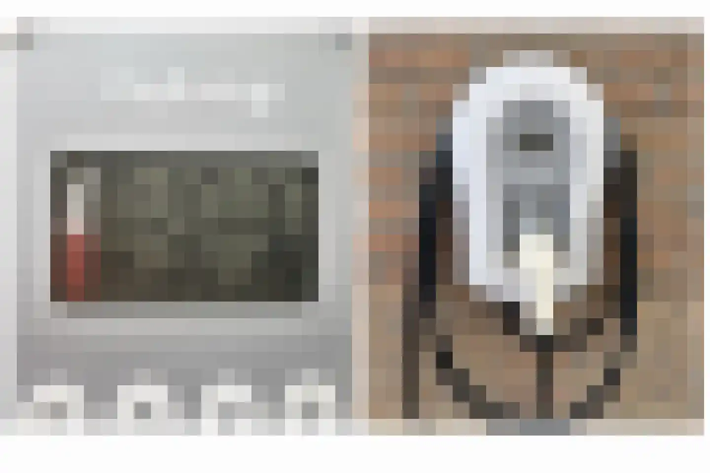 Kloosterhof 2 Dalfsen thumbnail 30