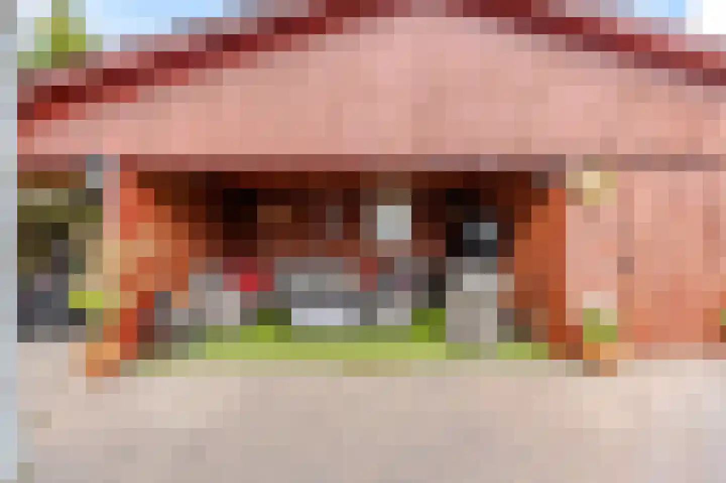 Kloosterhof 2 Dalfsen thumbnail 32