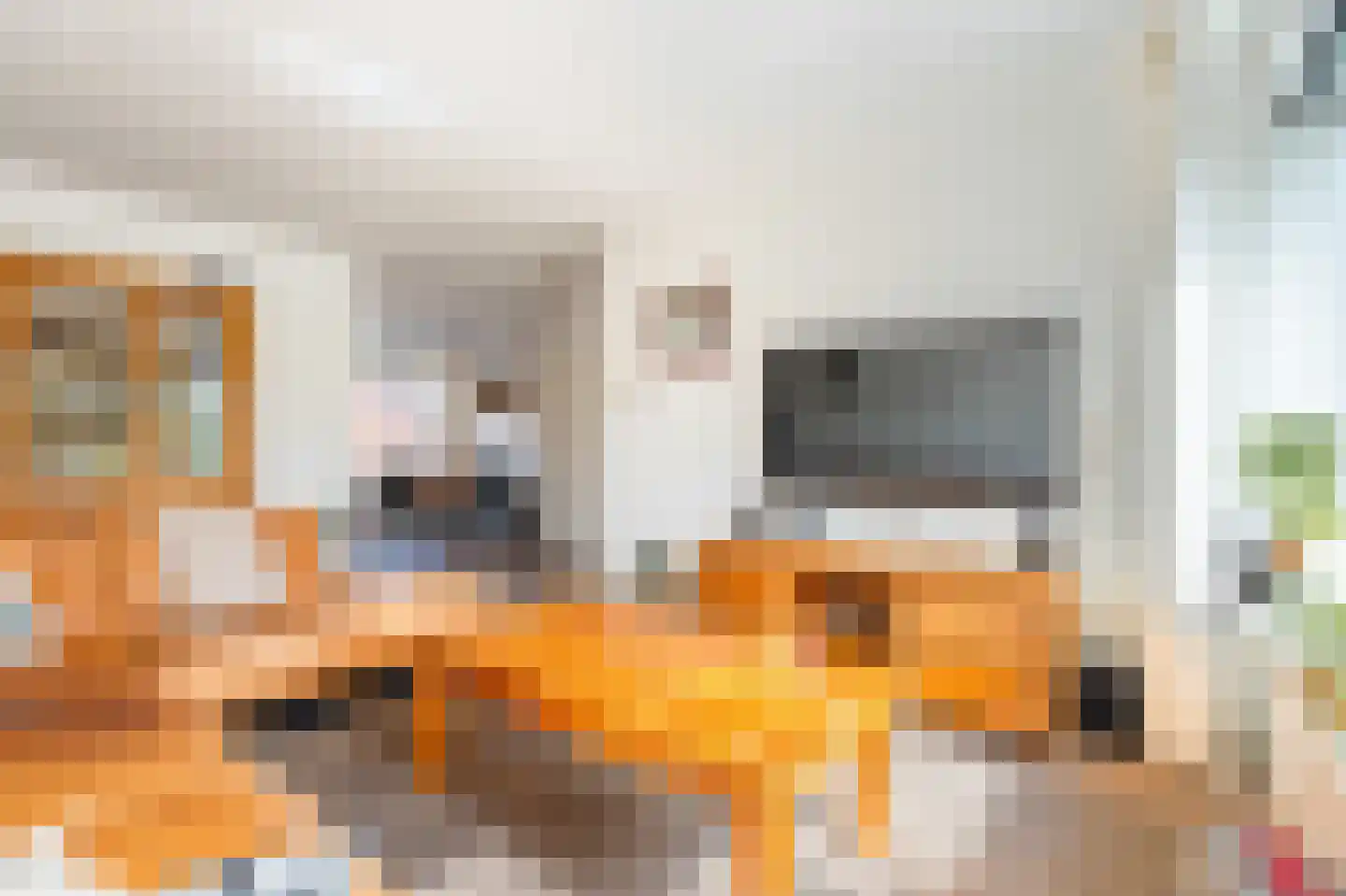 Kloosterhof 2 Dalfsen thumbnail 6