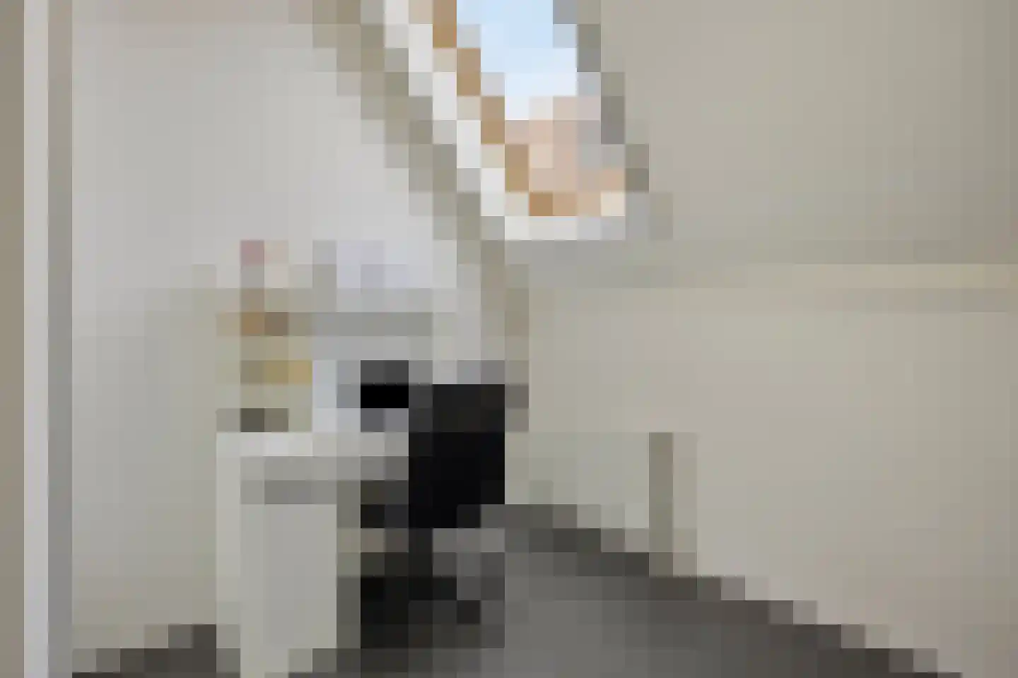 Kloosterhof 20 IJsselstein thumbnail 32