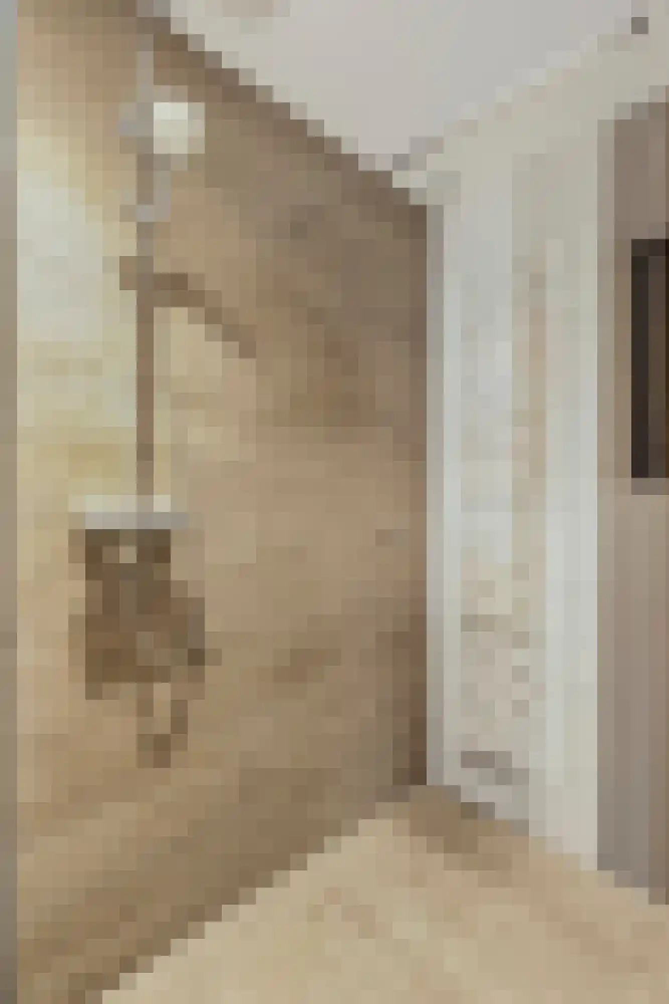 Kloosterhof 22 Veldhoven thumbnail 18