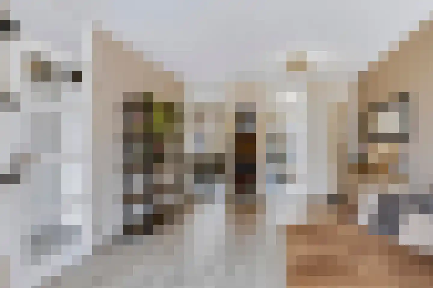 Kloosterhof 22 Veldhoven thumbnail 7