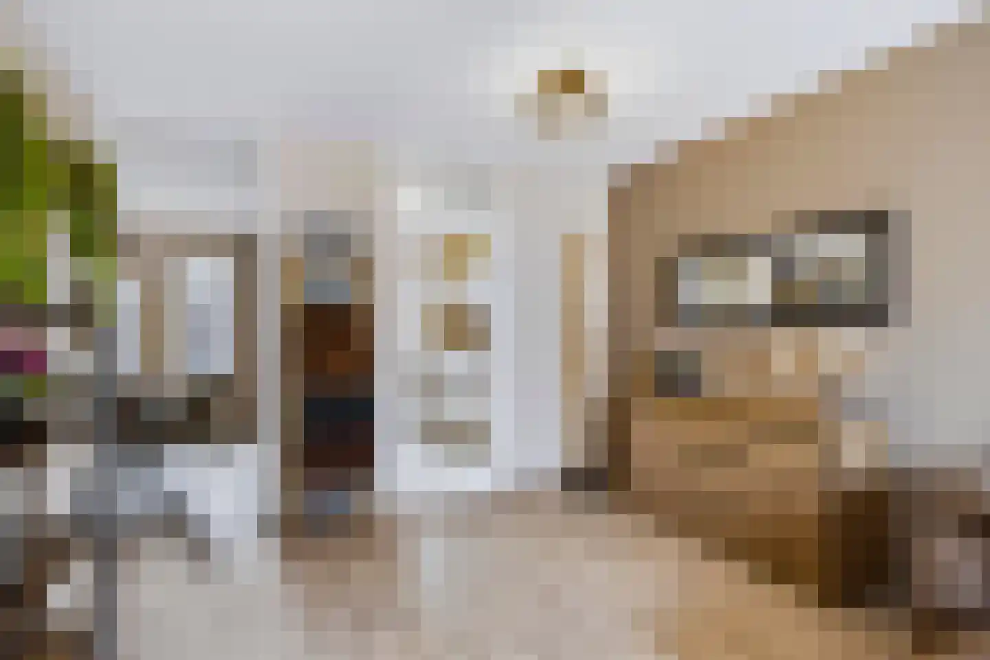 Kloosterhof 22 Veldhoven thumbnail 8