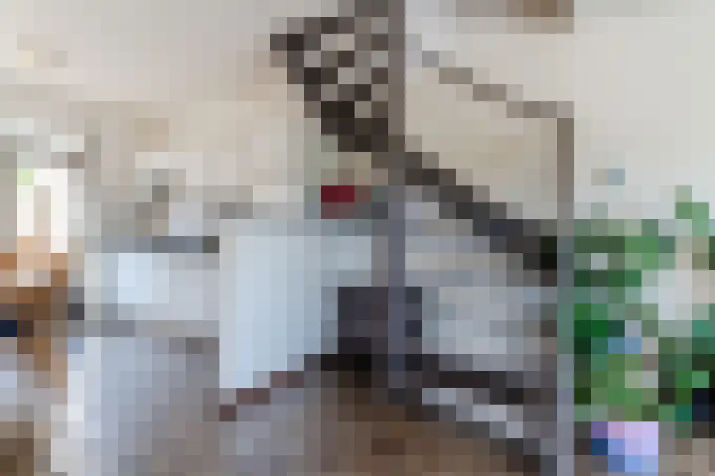 Kloosterhof 26 Nistelrode thumbnail 12