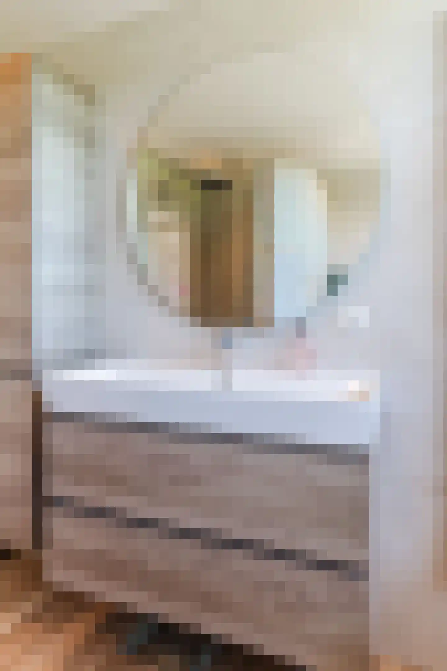 Kloosterhof 26 Nistelrode thumbnail 30