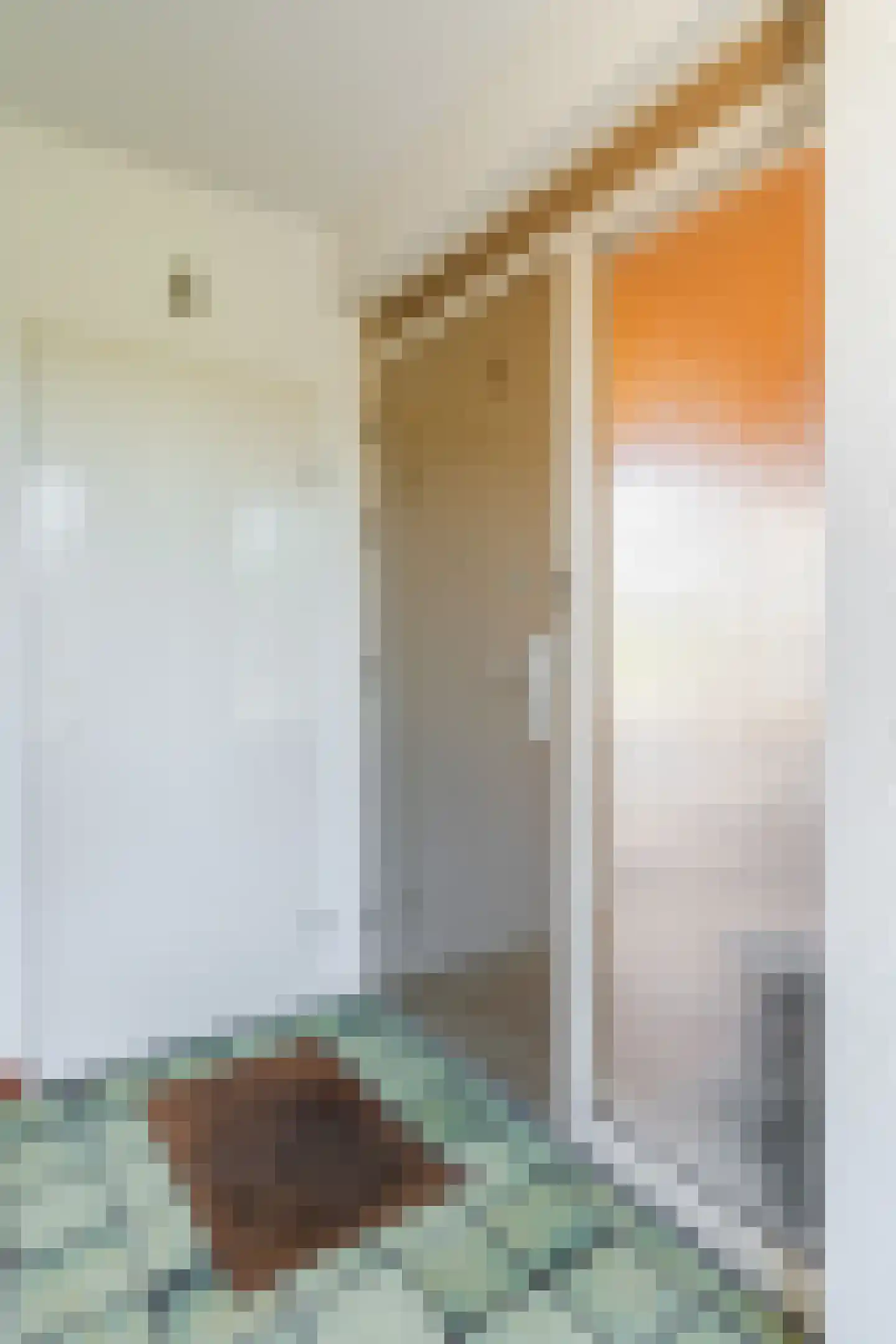 Kloosterhof 26 Nistelrode thumbnail 7