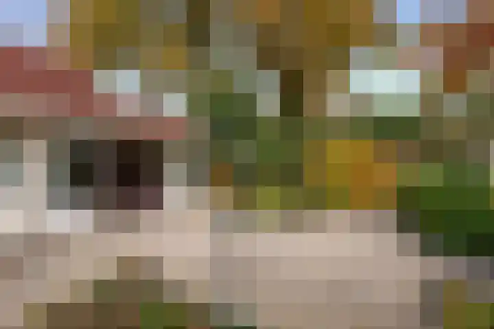 Kloosterhof 33 Leusden thumbnail 25