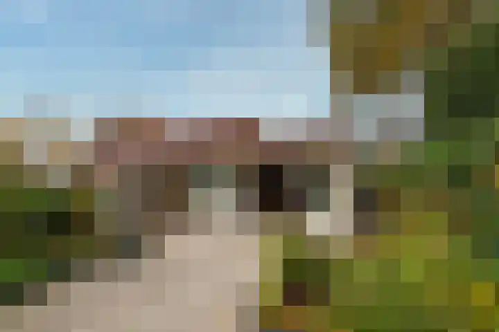 Kloosterhof 33 Leusden thumbnail 26