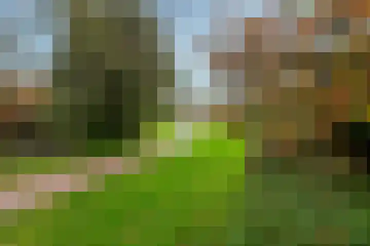 Kloosterhof 33 Leusden thumbnail 30