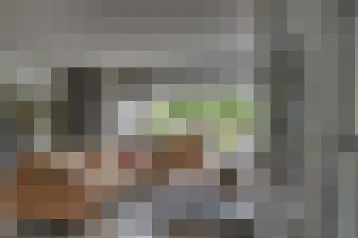 Kloosterhof 38 Dalfsen thumbnail 10