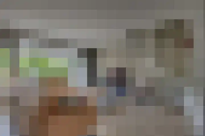 Kloosterhof 38 Dalfsen thumbnail 12