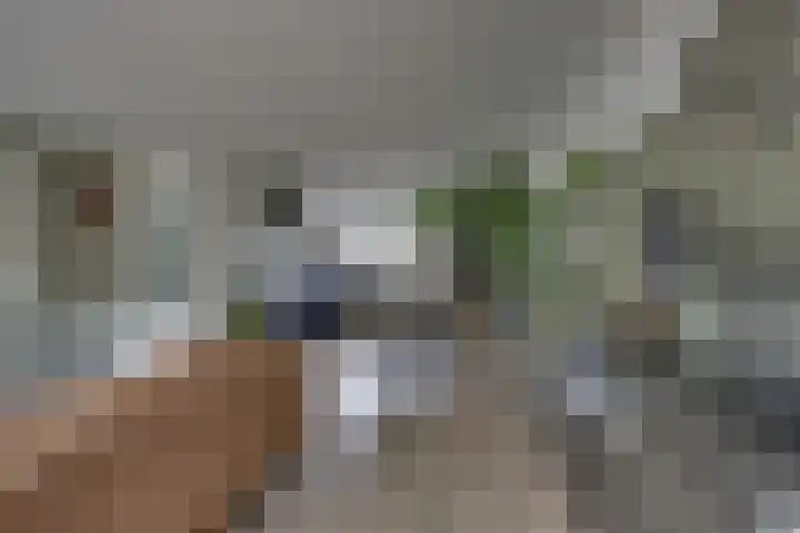 Kloosterhof 38 Dalfsen thumbnail 14