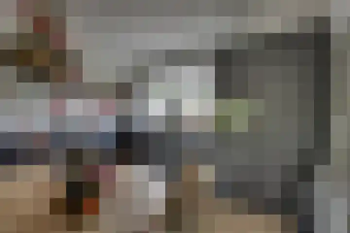 Kloosterhof 38 Dalfsen thumbnail 16