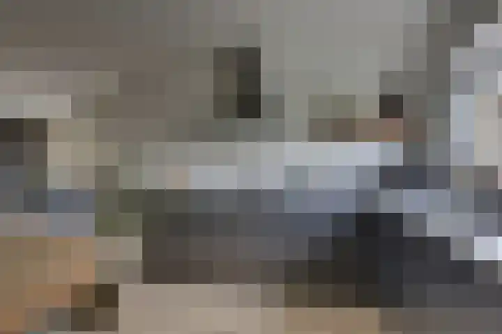 Kloosterhof 38 Dalfsen thumbnail 17