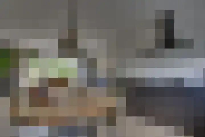 Kloosterhof 38 Dalfsen thumbnail 18