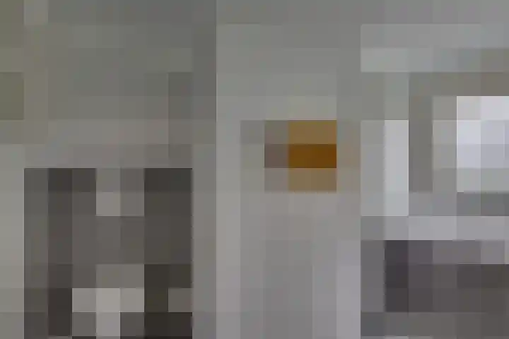Kloosterhof 38 Dalfsen thumbnail 21