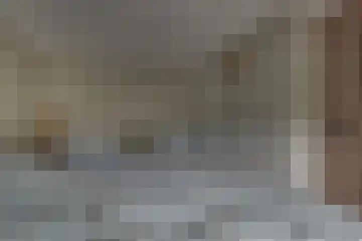 Kloosterhof 38 Dalfsen thumbnail 24