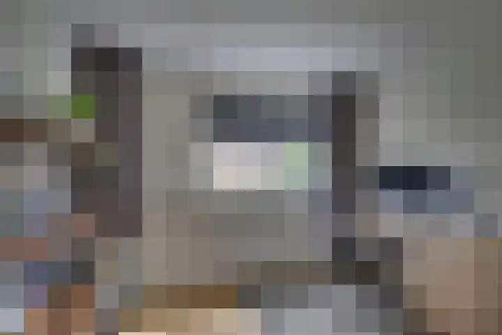 Kloosterhof 38 Dalfsen thumbnail 27