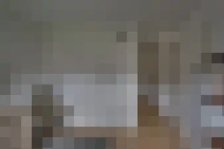 Kloosterhof 38 Dalfsen thumbnail 28