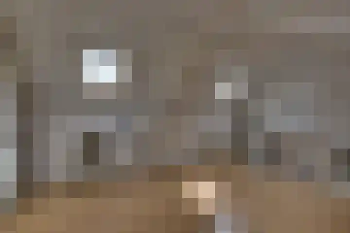 Kloosterhof 38 Dalfsen thumbnail 30